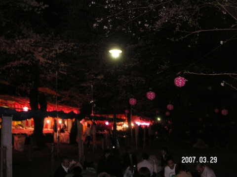 s_PICT0012.jpg
